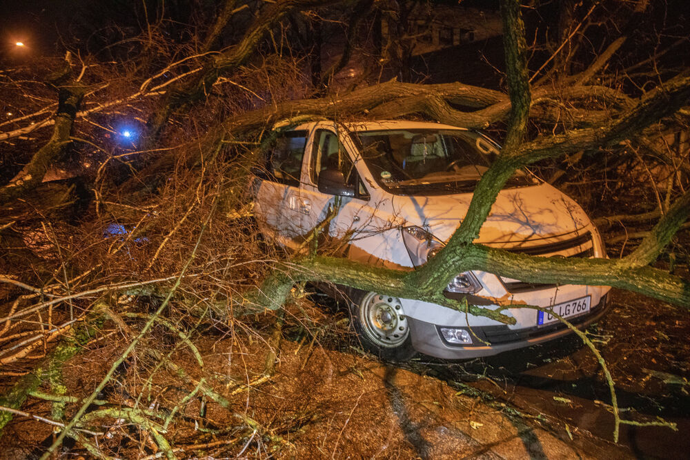 Sturmtote gemeldet! Fußgängerin in Karlsruhe von umstürzendem Baum erschlagen