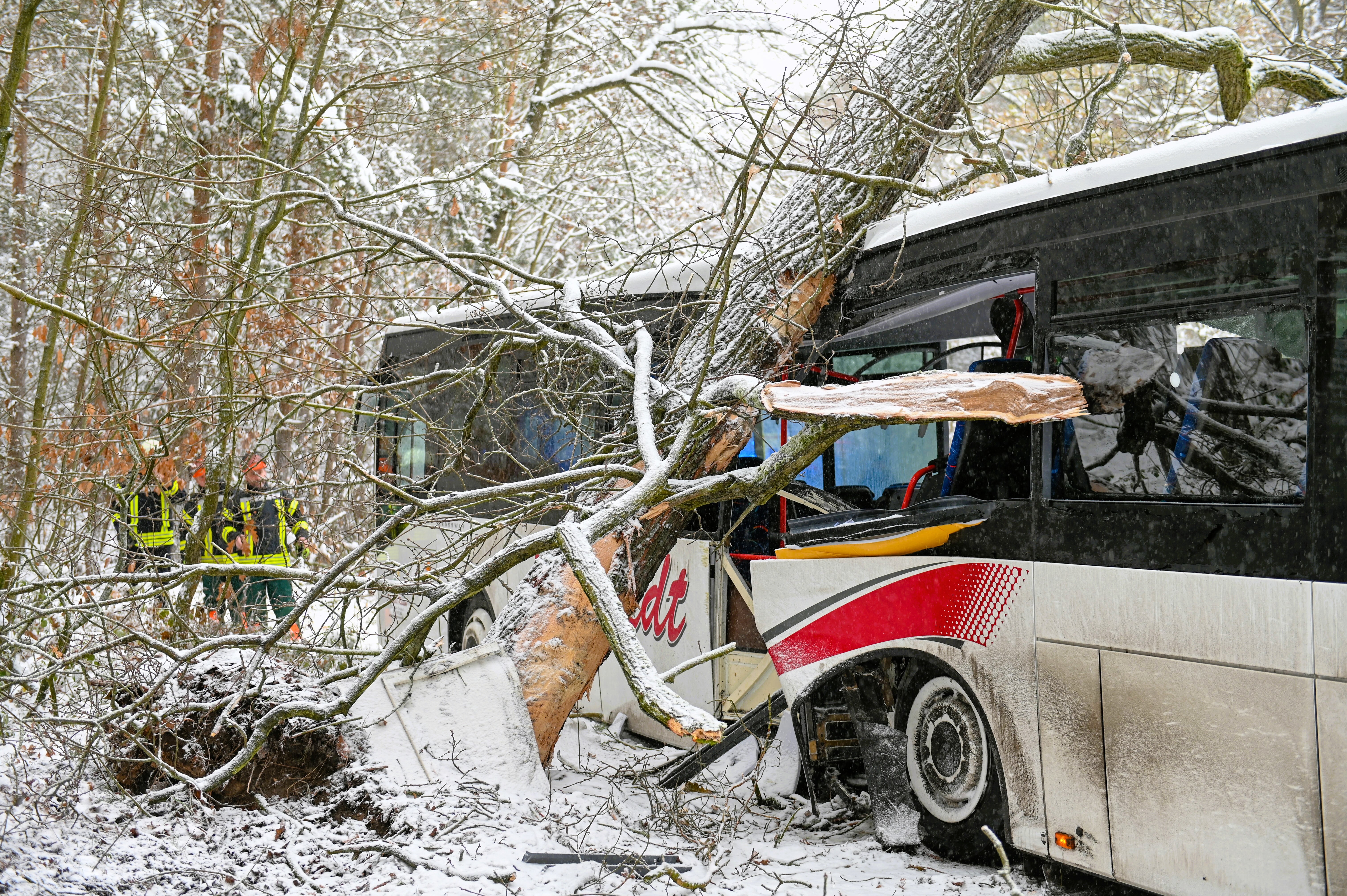 EILMELDUNG - Schulbus prallt gegen Baum! Mindestens 10 verletzte Kinder!